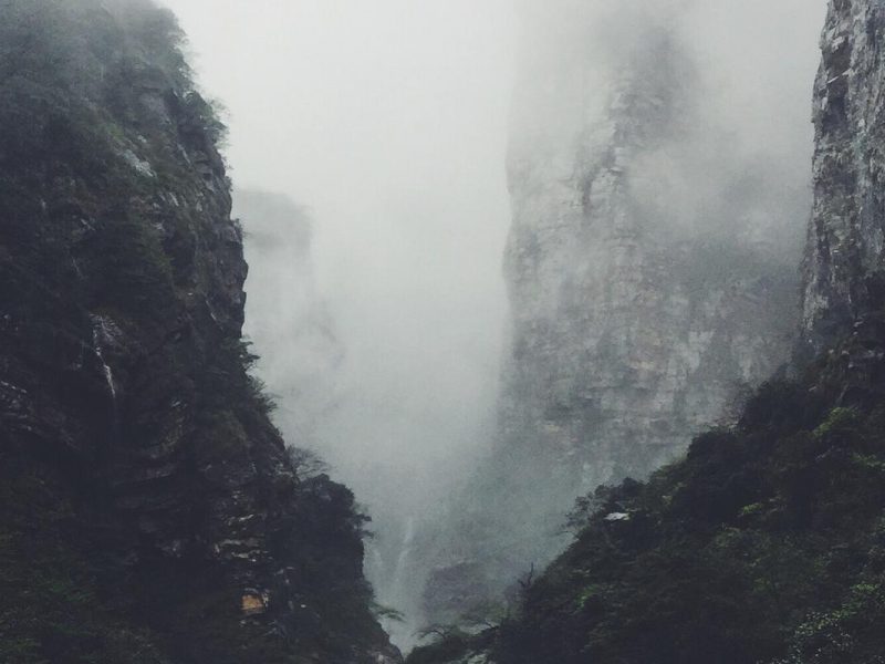 Gravida netus habitant condimentum dictum nisl tempor cras cubilia suspendisse aliquet torquent sagittis ullamcorper